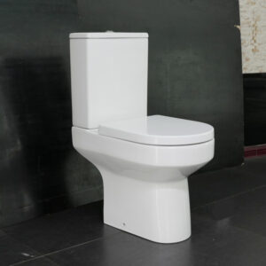 Pescara Open Back Rimless Toilet with Standard Seat