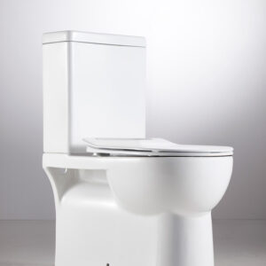 Naples BTW Rimless Toilet with Slimline Seat
