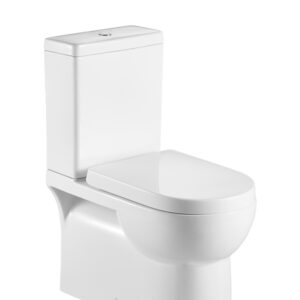 Naples BTW Rimless Toilet with Standard Seat